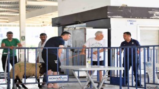 Konyaaltında ücretsiz kurban kesim hizmeti verildi