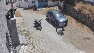 Köpeğe şiddet kamerada