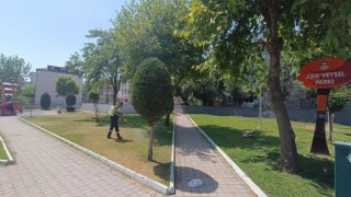 Körfezde yeşil alanlar güzelleştiriliyor