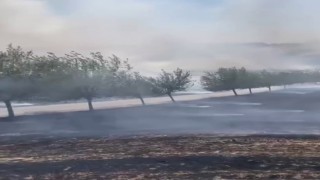 Köy yakınında çıkan yangın korkuttu