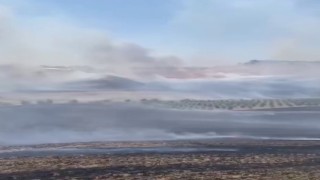 Köyde çıkan anız yangını güçlükle söndürüldü