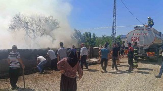 Kozanda çıkan yangında 1 kişi hastaneye kaldırıldı, 20 küçükbaş hayvan son anda kurtuldu