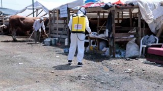 Kurban bayramı için hijyen alarmı: Hastalık riskine karşı harekete geçtiler