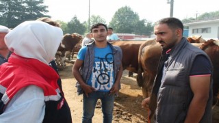 Kurban bayramı öncesi hayvan satış yerinde denetim yapıldı