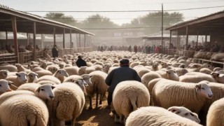 Kurban Bayramında her yıl yaşanan çarpıcı ve benzer olaylar