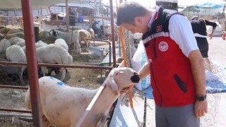 Kurban Pazarı Denetimleri Aralıksız Devam Ediyor