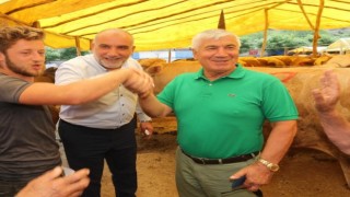 Kurban pazarında veteriner gözetiminde satış
