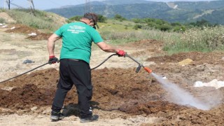 Kurban satış alanları ilaçlanıyor