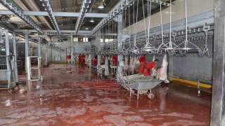 Kurban satış yerleri ve mezbahalarda ilaçlama çalışmaları tamamlandı