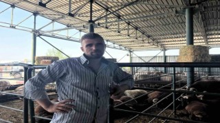 Kurbanlıklarını 13 saatlik yolculukla bin 138 kilometre uzaktan getirdi