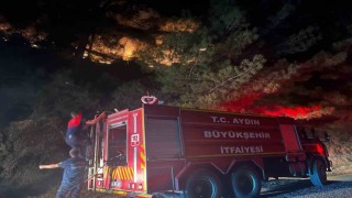 Kuyucakta zirai alan yangını
