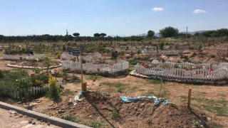 Mahkemeye taşınan mezarlıkla ilgili bilirkişi raporu çıktı