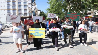 Malatyada Filistine destek yürüyüşü