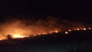 Malatyada orman yangını