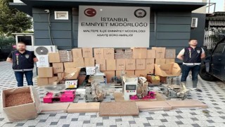 Maltepede kaçak makaron operasyonu: 1 kişi tutuklandı
