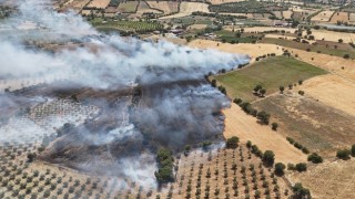 Manisada ekin tarlasında yangın: 35 dönüm kül oldu