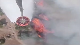 Manisada ormanlık alanda yangın