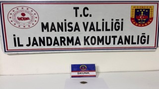 Manisada şüpheliden skunk ele geçirildi