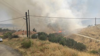 Manisada zirai alanda yangın