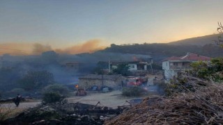 Manisadaki yangına müdahale sürüyor: 300 hektar alan ile evler zarar gördü