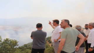 Manisadaki yangında 5 bin dönümlük alan küle döndü