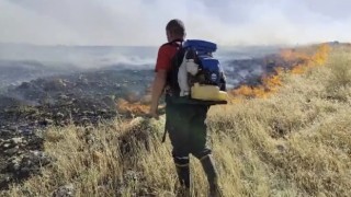 Mardinde 3 ayrı noktada anız yangını