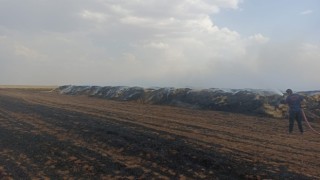 Mardinde 300 ton saman balyası kül oldu