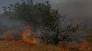 Mardinde ağaçlık alanda çıkan yangın söndürüldü
