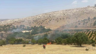 Mardindeki orman yangını söndürüldü