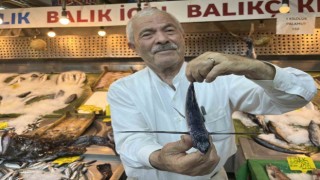 Marmara Denizi açıklarında uçan balık yakalandı