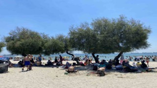Menekşe Plajındaki yoğunluk havadan görüntülendi