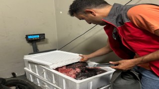 Menteşe Otogarında 45 kilo menşei belirsiz et ürünü ele geçirdi