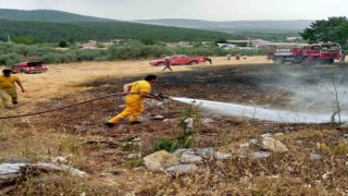 Menteşede tarlada çıkan ot yangın korkuttu