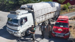 Mersinde orman kaçakçılığına yönelik denetim yapıldı