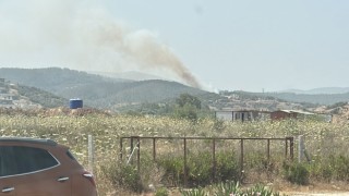 Milastaki orman yangını kontrol altına alındı