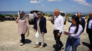 Milletvekilleri, Devrekanideki yatırımları inceledi