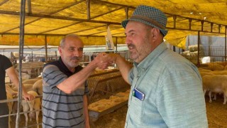 Modern Hayvan Pazarında kurbanlık alışverişi devam ediyor