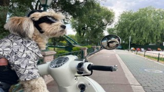 Motosiklet tutkunu Papi herkesin ilgi odağı oldu