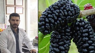 Mucize Besin Karadutun Faydaları