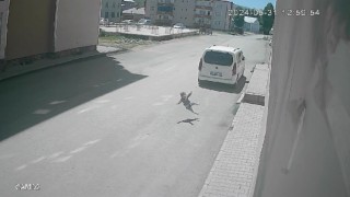 Muşta 7. kattan düşen 2 yaşındaki çocuk hayatını kaybetti