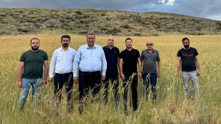 Niğde Milletvekili Gürer: Buğday alım fiyatı 15 bin TL/ton olarak revize edilsin”
