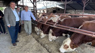 Niğde Milletvekili Gürer: “Kurban için bakan var, ama alan sınırlı”