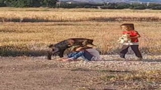 Oğlağın çocuklarla oyunu gülümsetti