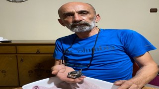Okul müdürü bulduğu yaralı ebabil kuşunu iyileştirdi