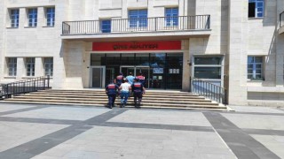 Önce keşif yaptılar sonra çaldılar, jandarmadan kaçamadılar
