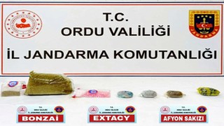 Orduda Jandarma KOM ekiplerinin 5 aylık faaliyeti açıklandı: 13 tutuklama