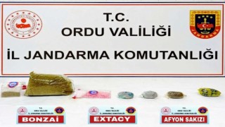 Orduda uyuşturucu operasyonu: 1 tutuklama
