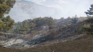 Ormanlık alanda çıkan örtü yangını söndürüldü