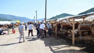 Ortahisar, Kurban Bayramına hazır