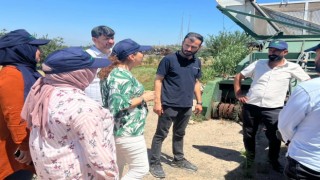 Osmaniye'de Tohum Hazırlama Kursu Tamamlandı